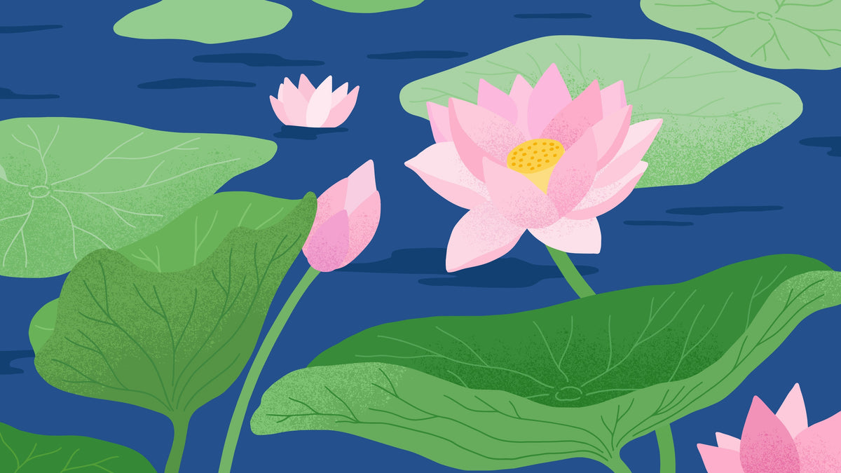 Cleansing & Reset
