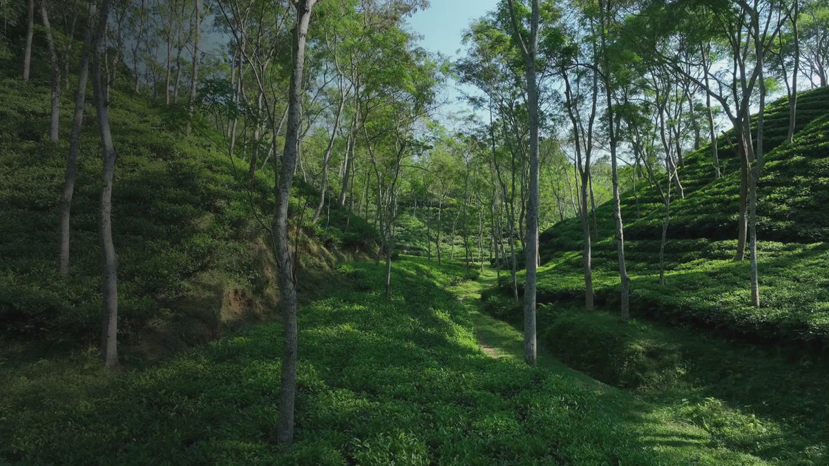 Load video: Open Ego hero film — opening sequence
